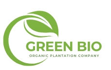 green flat & minimalist eco products logo